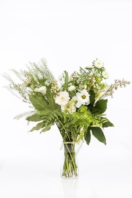 זר השלג הלבן