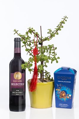 מארז עץ השפע עם יין ושוקולד גודייבה