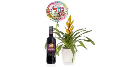 מארז עציץ וריזאה עם כלי קרמיקה מותאם בלון ויין