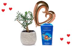 מארז עץ זית ננסי בכלי מחרס עם בלון ושוקולד גודייבה