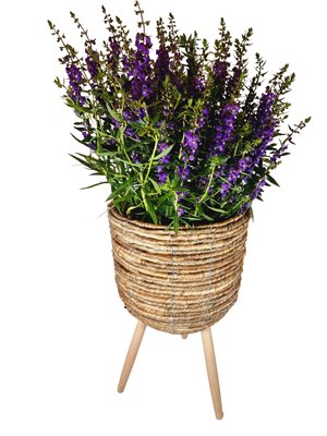 קערה פורחת משתנה (בהתאם לעונה) בסלסלת רגלי עץ