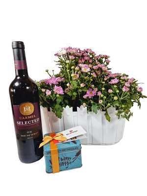 מארז אדנית חרציות עם שוקולד ויין