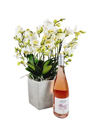 מארז סחלב בליסימו בכלי מהודר עם יין רוזה