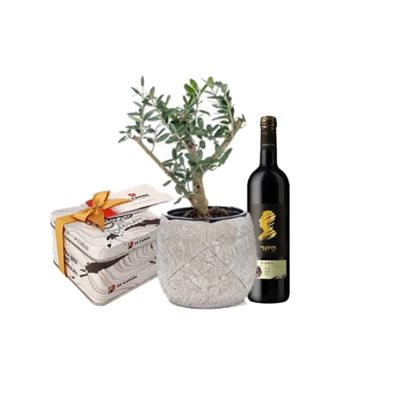 מארז עץ זית ננסי