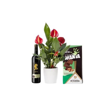 מארז עציץ אנטוריום האהבה.