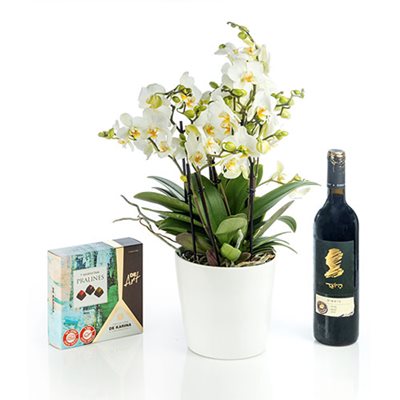 מארז סחלב בליסימו יוקרתי בכלי קרמי עם פרלינים ובקבוק יין