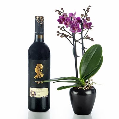 מארז סחלב ננסי עם בקבוק יין