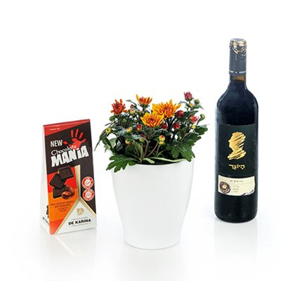 מארז עציץ חרצית עם שוקולד ויין