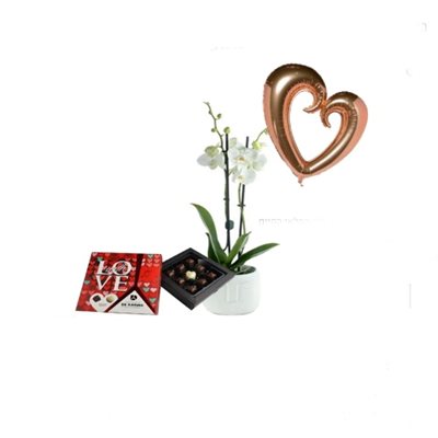 מארז סחלב אהבה